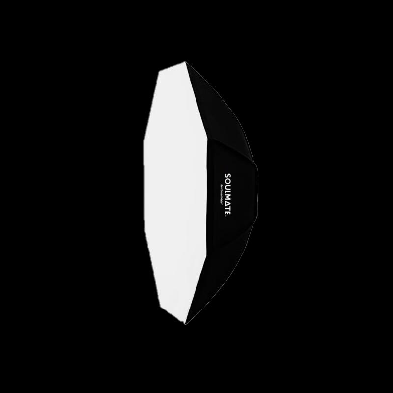 SOULMATEE200 Professional LED Fill Light Kit