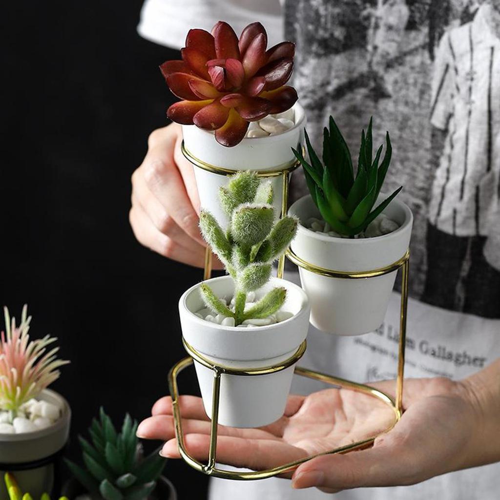 3Pcs Flower Pot Holder Succulent Plant Pots Stand Set Home Desktop Decor succulents Flower Pots Metal Stand Holder