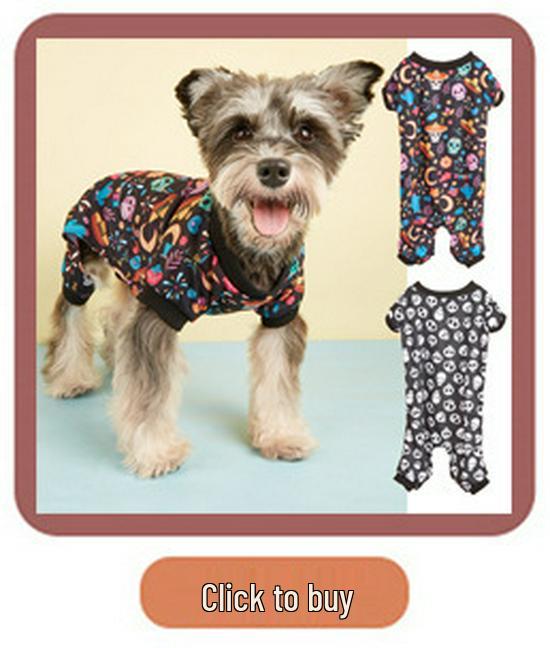 Classic Teddy Bear Plush Pet Costume with Bear Ears - Soft, Comfortable, Leather Tag for Small Dogs Like Chihuahuas.