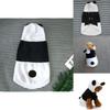 Cozy Panda Transformation Pet Clothing For Dogs And Cats In White