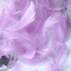 50Pcs Macaron Color Small Feather Small Goose Feather Wedding Festival Event Stage Decoration Gift Box Filling Material