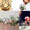 Mini Glass Geometric Terrarium Container Gold Terrarium Set Glass Flower Pot Planter Vase Bowl Display Box Decor