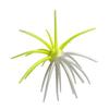 Sea Urchin Baits Lures General Casting Fishing Accessory, Soft Plastic Elastic Body with Flexible Arm Profile, Single Pack for Lake Use