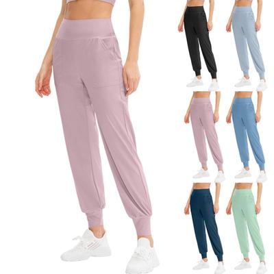 Women's Loose Fleece Jogging Leggings With Side Pockets For Fall, Casual Quick-Dry Fitness Pants