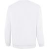 Li-Ning Comfortable Casual Solid Color Hoodie Men hoodies White AWDUB25-7