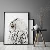 Picture, Poster In a Frame 33x43 Cm Owl P508