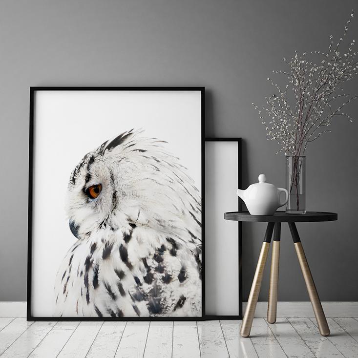 Picture, Poster In a Frame 33x43 Cm Owl P508