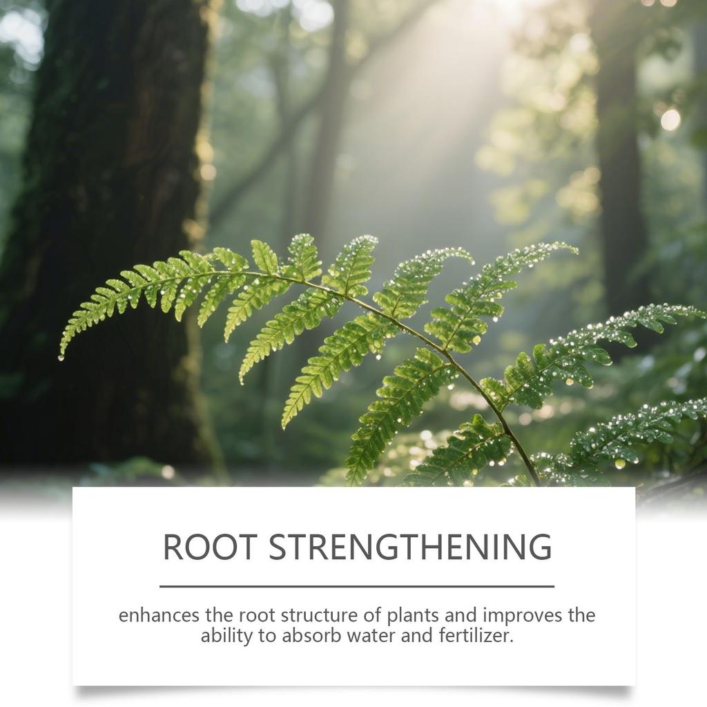 Plantenvoeding - Potplantenmeststof, 100 ml Voedingsstoffen Natuurlijke Oplossing Plantenmeststof Binnen, voor Tuin Buiten Boom Bloem Bladgewas Fruit Groente