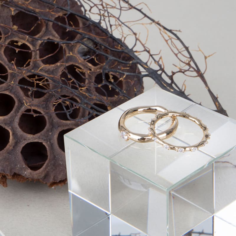 AUGUST ALICE Rough & Bone Ring Set_Champagne Gold