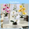 Flower Phalaenopsis Faux Bonsai Desk Decor For Home Office Decoration Wedding