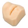 Human Mouth Model Soft Silicone High Simulation Lifelike Lips Model for Jewelry Display