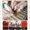 Stainless Steel Piglet Feeding Trough Anti-Spill Sow Milk Pig Feeder Bowl for Livestock Farm Fodder Supply