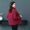 Small Padded Jacket Women's New Winter Fashion Light and Thin Large Size Padded Jacket Versatile Short Thickened Down Padded Jacket