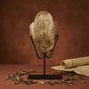 Turtle Carapace on Stand Tabletop Decor Antique-Vintage-Look Bone