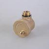 Air Vent Pressure Relief Valves Solar Water Heater Pressure Relief Valves Vertical Type Automatic Air Vent Exhaust Valves
