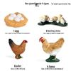 Frog Life Cycle Model Set: Tadpole to Frog Educational Toys for Kids