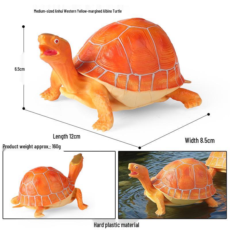 Children's Cognitive Marine Animal Models: Sea Turtle and Tortoise Toys