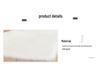 Simple Faux Wool Irregular Bedside Rug for Bedroom and Living Room