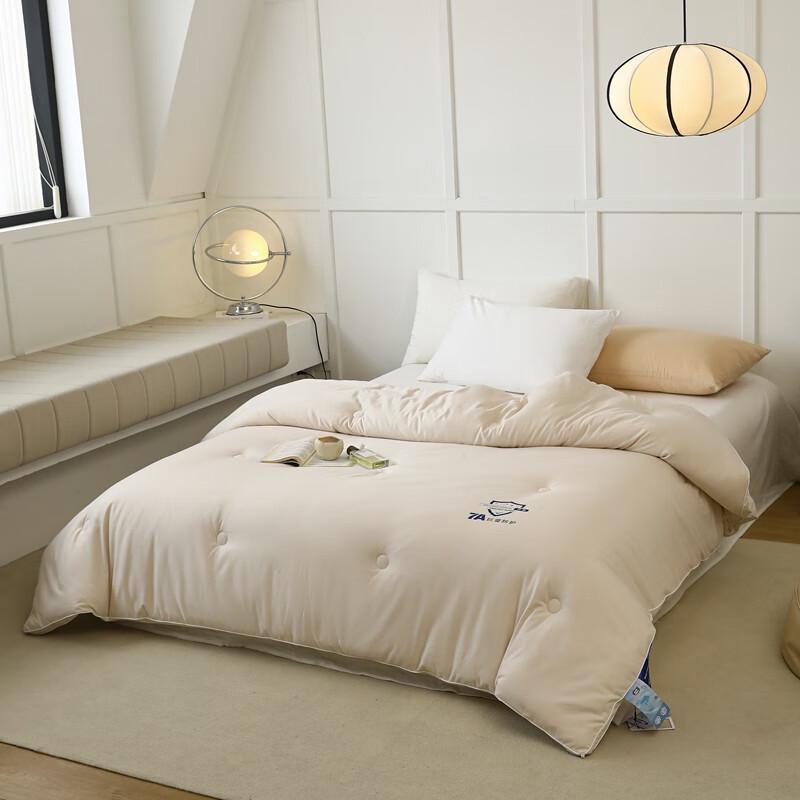 Southern Living 7A Antibacterial Skin-Friendly Winter Quilt