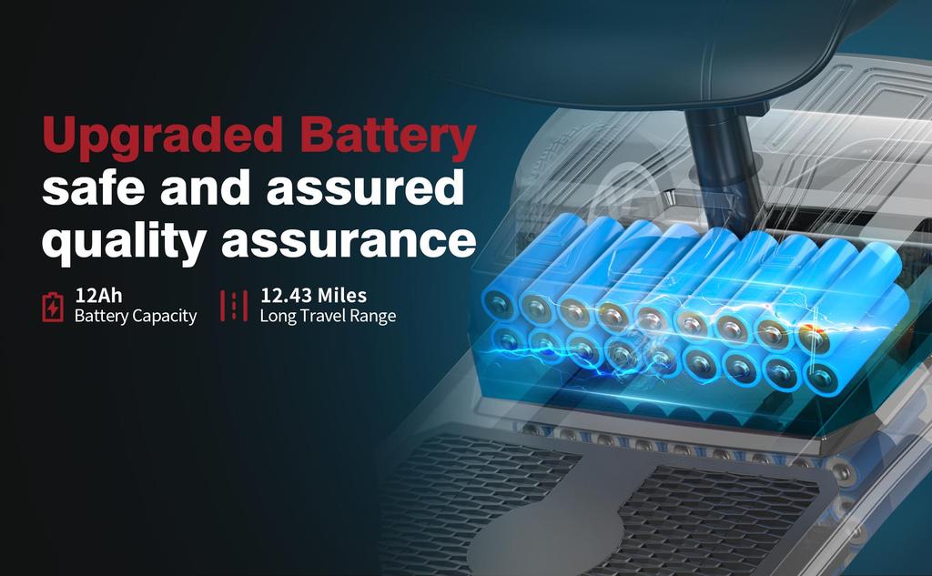 X-02 Mobility Scooter - 24V 300W, Max Speed 6km/h, Max Load 190KG, 20KM Range