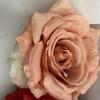 Rose Premium Silk Bouquet For Wedding Ceremony And Event Decoration Fashion
