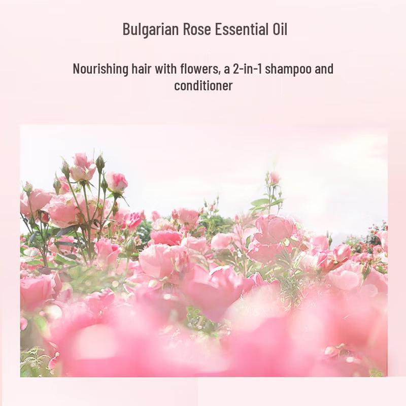 Adolph Gentle Essential Oil Fragrance Hair Care Set