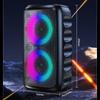 Karaoke Radio FM Bluetooth Speaker Portable Wireless With Microphone Lamp Machine Caixa De Som Sound Box Music Subwoofer LED TWS