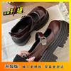 Internet Celebrity Niche Design Thick-soled Shallow Mouth Shoes 2025 New Mid-heeled High-end Marfried Street High-value Lizhen Single Shoes