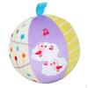 Development Early Learning Ball Toys