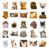50 Realistic Kitten Stickers Cute Cat Cute Expression Creative Decoration Water Cup Notebook Hand Account Stickers