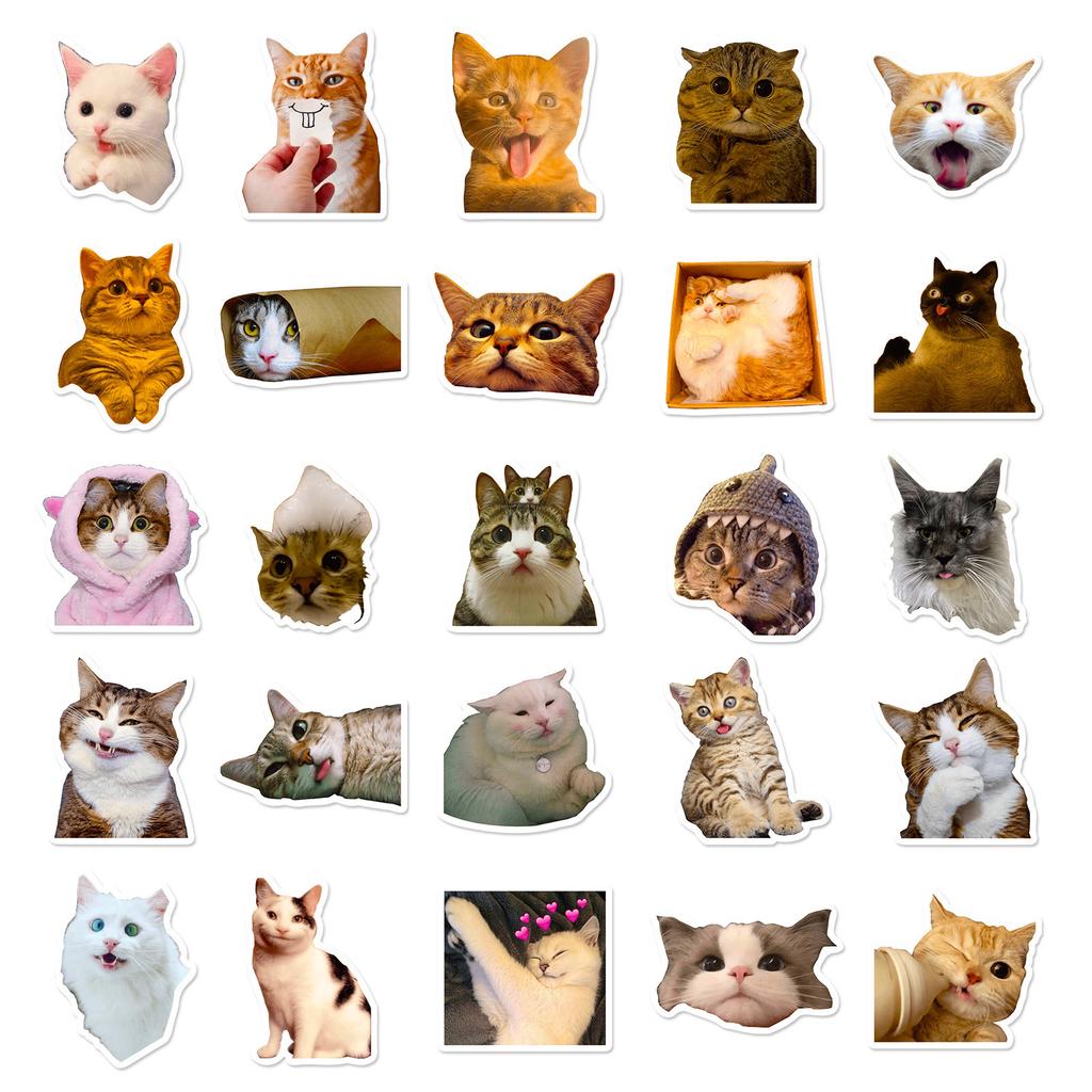 50 Realistic Kitten Stickers Cute Cat Cute Expression Creative Decoration Water Cup Notebook Hand Account Stickers
