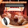 Animale de fermă
– Incubatoare de ouă și accesorii