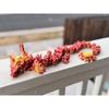 FIll Your Box Live - Articulated Dragons, Figurines, Fidgets, Minis and More - $15-$100