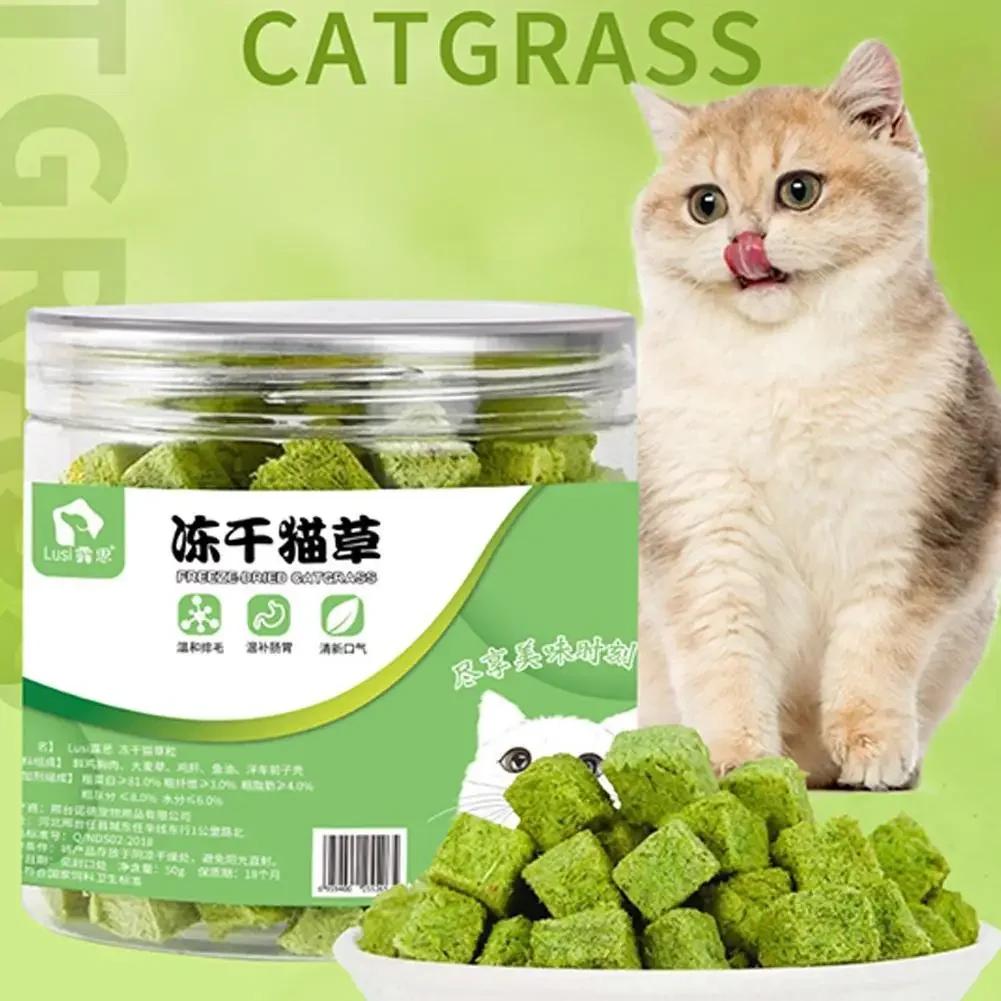 Cat Snack Catgrass Biscuits Catgrass Grain Freezedried Pieces Pet Snack Catgrass Tablets Grinding Teeth Lnteractive Rewards