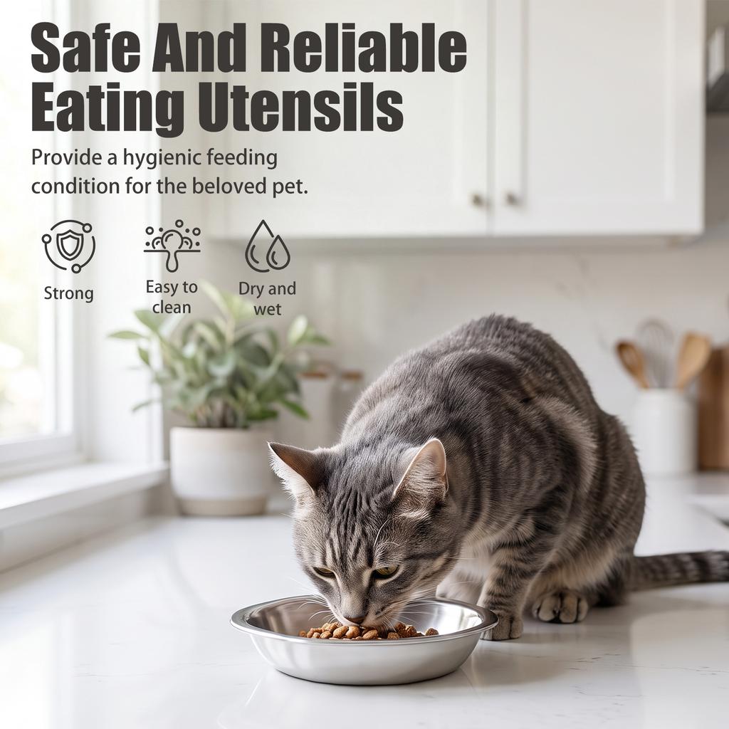 10Pcs Stainless Steel Cat Bowl Shallow Wide Design 14cm Food Dish Pet Water Feeder Bowl For Cats Kitten