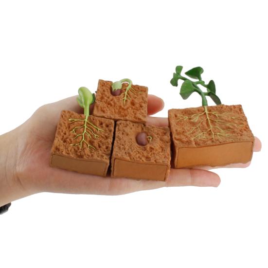 4Pcs Plants Grown Toy Simulation Educational PVC Plant Growth Cycle Model for Home