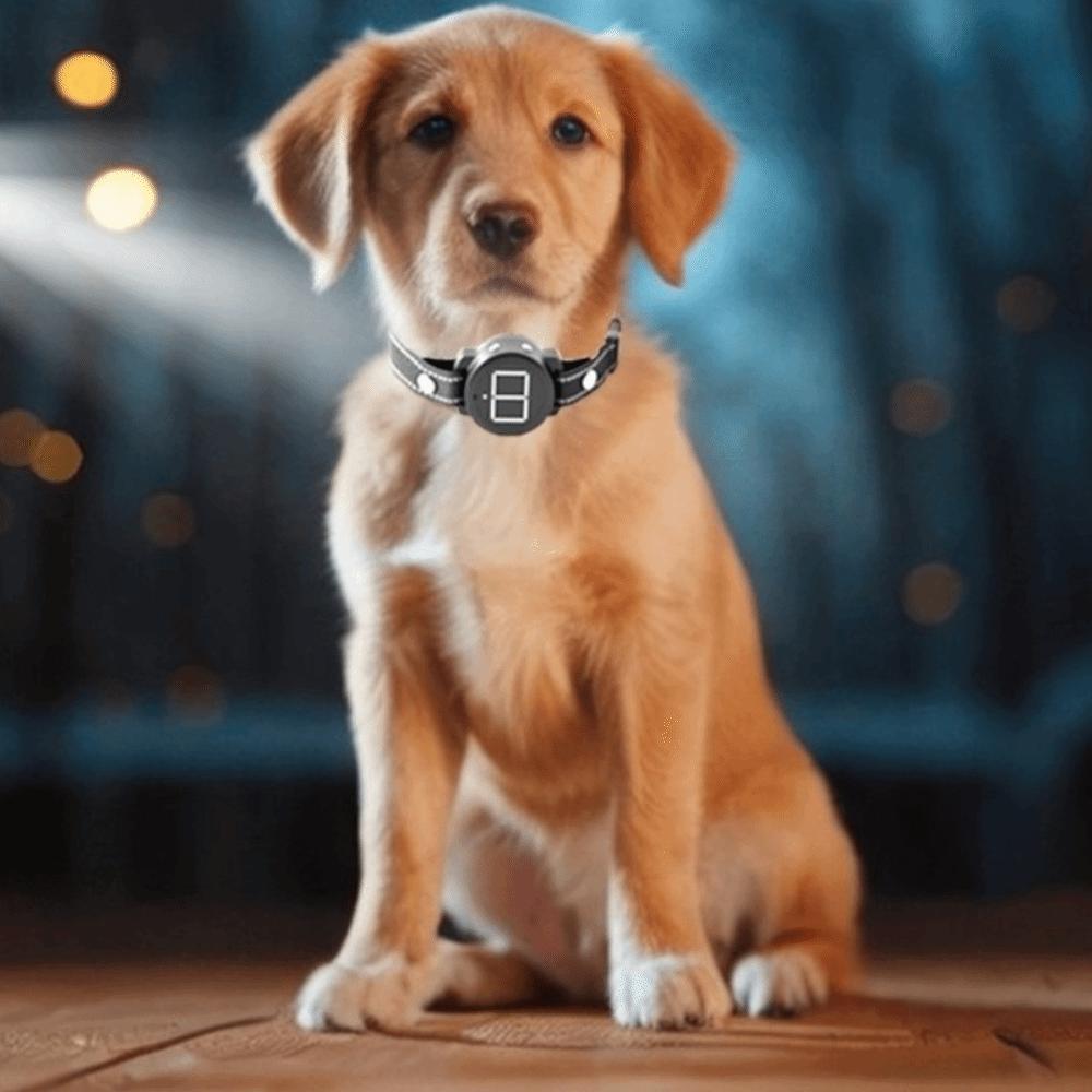 Remote Control Smart Dog Anti Bark Device Rechargeable Dog Training Collar  Dog Accessories