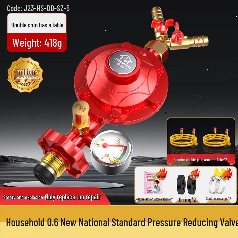 Dual Burner Explosion-Proof Gas Stove with Auto Shut-off Valve for LPG