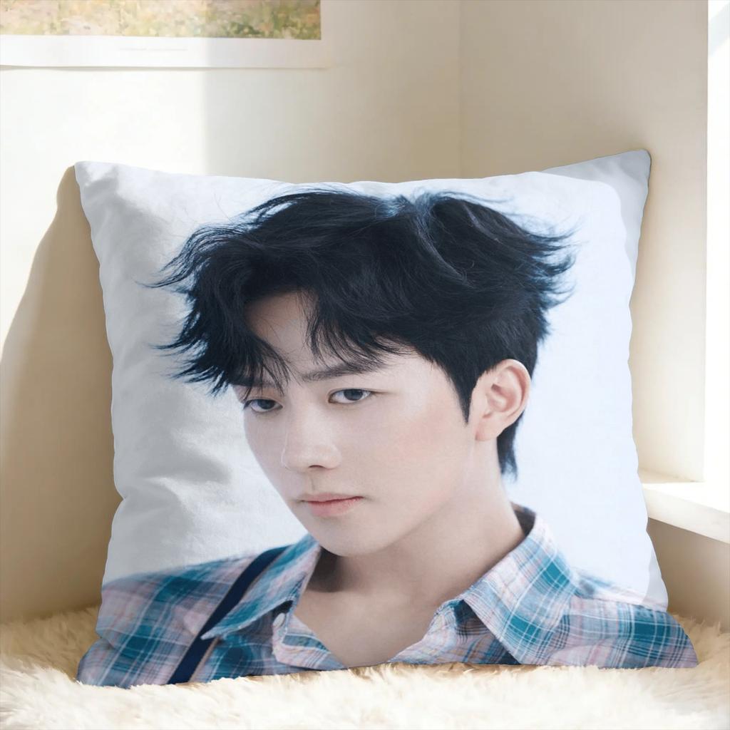 Huang Xing Eliot Huang D-Desire Pillow Case Comfy Pillow Cover For Office Car Home Decor Cute Funny Cushion Cover