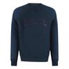 Diesel Mens Total Eclipse Distressed Logo Raglan Sweatshirt