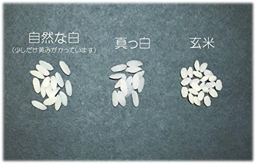 Food Sample Japanese Pure from Yamato Damashii Food Sample Shop Materials Rice, White, 200g,
