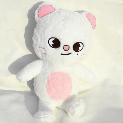 50cm SKZOO Plush Doll Fans Gift Hug Pillow Teddy Style Plush Toy Seoul FM Week Cloak Doll Magic School Kid Birthday Gift