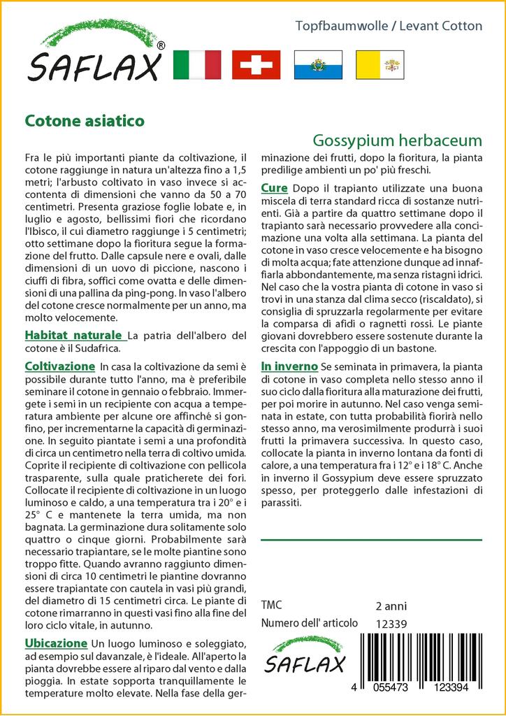 SAFLAX Levant Bavlna - 12 semen - Gossypium herbaceum