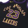 Nike NBA LeBron James No. 23 Lakers Fan Vest, 2023-24 Season Men Tops Black DX8506-012