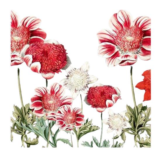 

Spring Flowers Window Clings Double-sided Watercolor Flowers Glass Decals Reusable Static PVC Sticker for Home Glass Door Window 45x45cm K