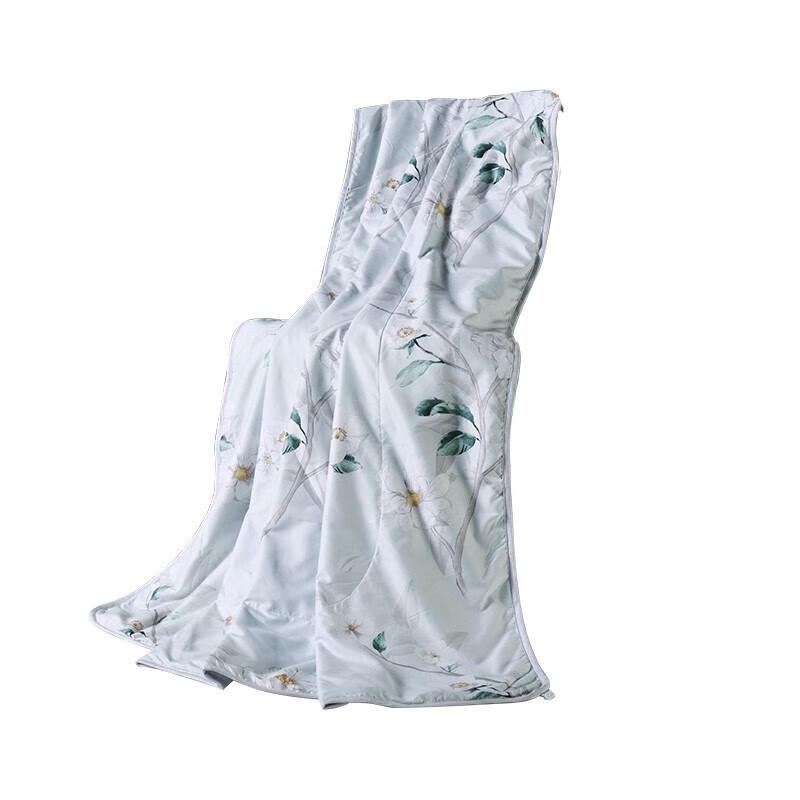 Duohuxi Washable Velvet Summer Quilt