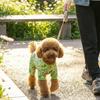 Soft Dog Sunscreen Clothes Breathable Mesh Pet Pajamas Dog Cooling Jumpsuit  Costume For Pets