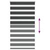 Zebra Roller Blind, Black, Fabric Width 70.9 Cm, Polyester
