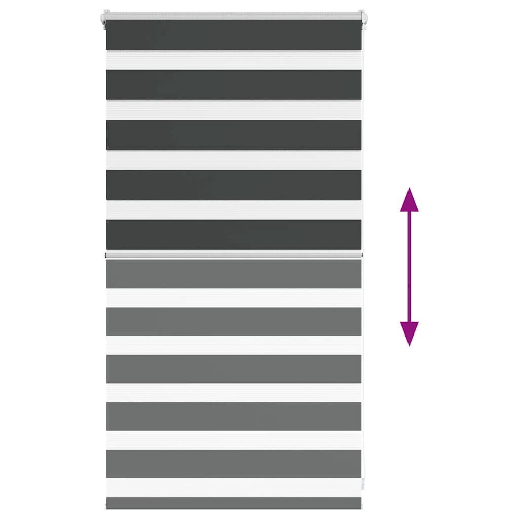 Zebra Roller Blind, Black, Fabric Width 70.9 Cm, Polyester