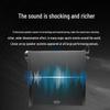 FionTu FT-JP108B Conference Audio Subwoofer (CN version)